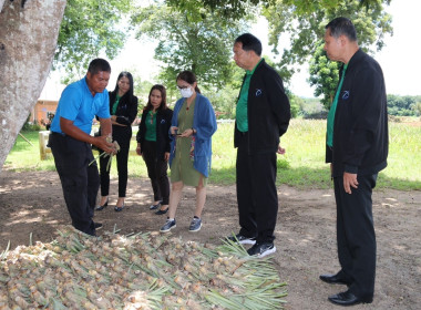 เยี่ยมชมโรงงานแปรรูปสับปะรดลูกหลานเกษตรกรกลับบ้านและตรวจเยี่ยม ติดตาม แนะนำ การดำเนินการสหกรณ์โคนมเชียงราย ... พารามิเตอร์รูปภาพ 9